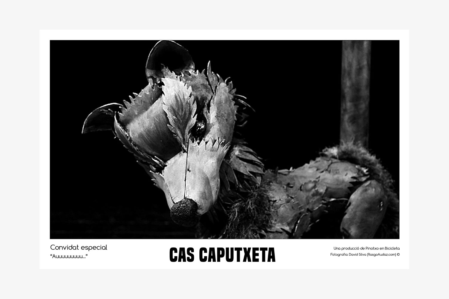 https://davidsilvaestudio.com/wp-content/uploads/2020/11/fotografia-puppet-fashion-book-cas-caputxeta-08.jpg